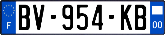 BV-954-KB