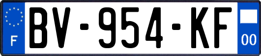 BV-954-KF