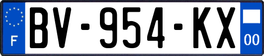 BV-954-KX