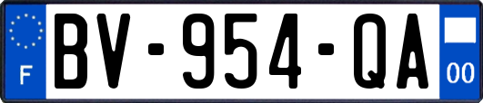 BV-954-QA