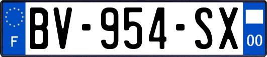 BV-954-SX