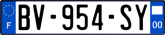 BV-954-SY