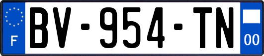 BV-954-TN