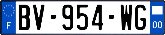 BV-954-WG