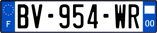 BV-954-WR