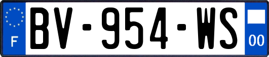 BV-954-WS