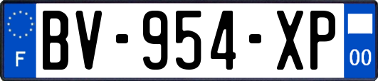 BV-954-XP