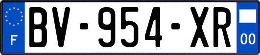 BV-954-XR