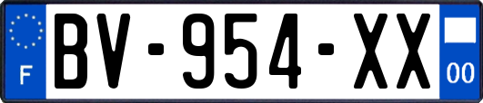 BV-954-XX