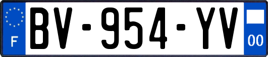 BV-954-YV