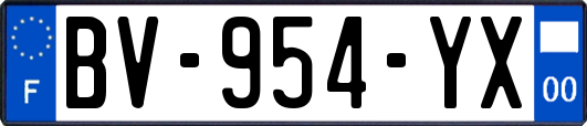 BV-954-YX