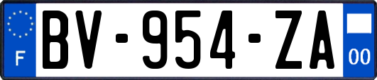 BV-954-ZA