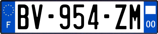 BV-954-ZM