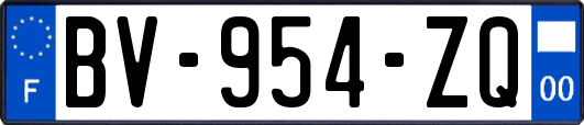 BV-954-ZQ