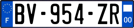 BV-954-ZR