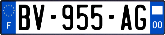 BV-955-AG