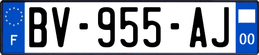 BV-955-AJ