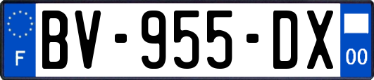 BV-955-DX