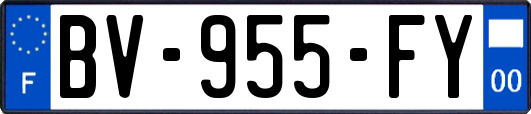 BV-955-FY