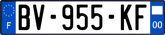 BV-955-KF