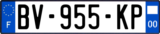BV-955-KP