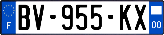 BV-955-KX