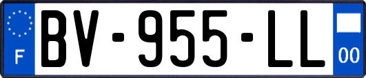 BV-955-LL