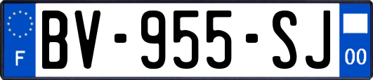 BV-955-SJ