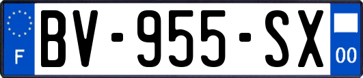 BV-955-SX