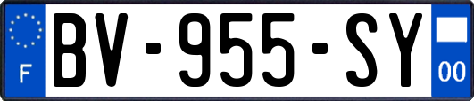 BV-955-SY