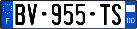 BV-955-TS