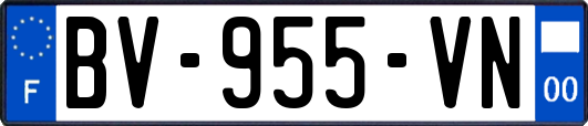 BV-955-VN