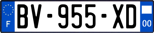BV-955-XD