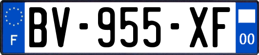 BV-955-XF