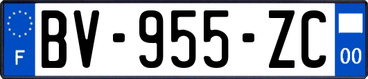 BV-955-ZC