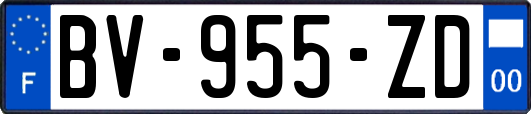 BV-955-ZD