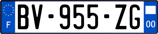 BV-955-ZG