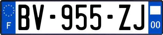 BV-955-ZJ