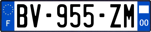 BV-955-ZM