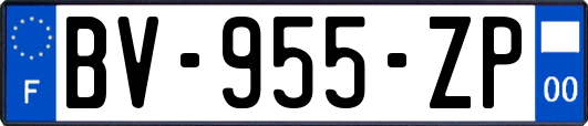 BV-955-ZP