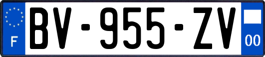 BV-955-ZV