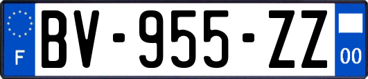 BV-955-ZZ