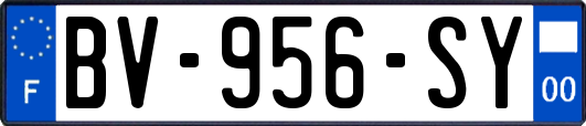 BV-956-SY