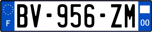 BV-956-ZM