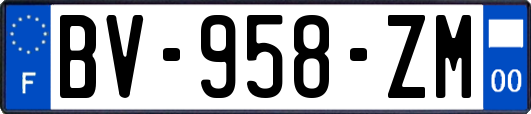 BV-958-ZM