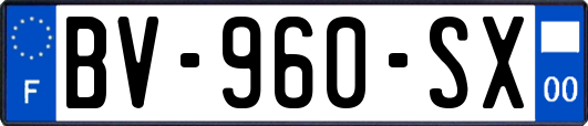 BV-960-SX