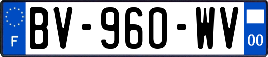 BV-960-WV