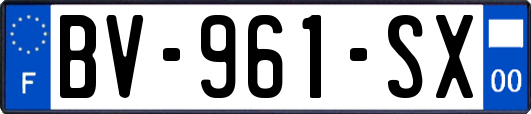 BV-961-SX