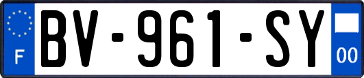 BV-961-SY