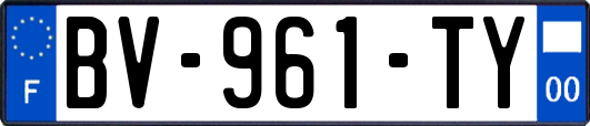 BV-961-TY